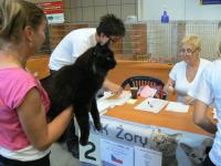Zory